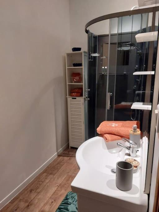 Appartement Proche Des Parcs Віші Екстер'єр фото